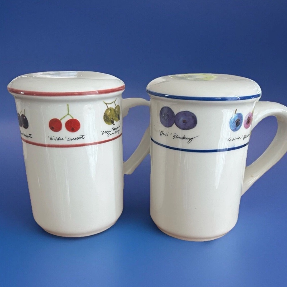 Berry Fields Over and Back VTG Large Salt & Pepper Shakers Fruit
